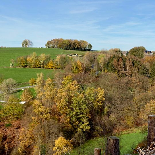 NSG Oberlaeufe der Großen Dhuenn <LP Wipperfuerth>