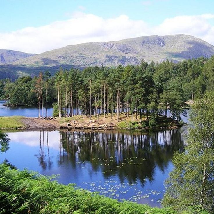 Tarn Hows