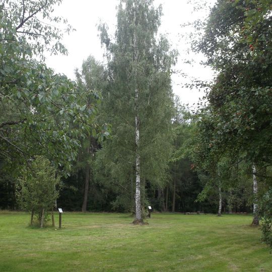 Naučná stezka Lesem Království