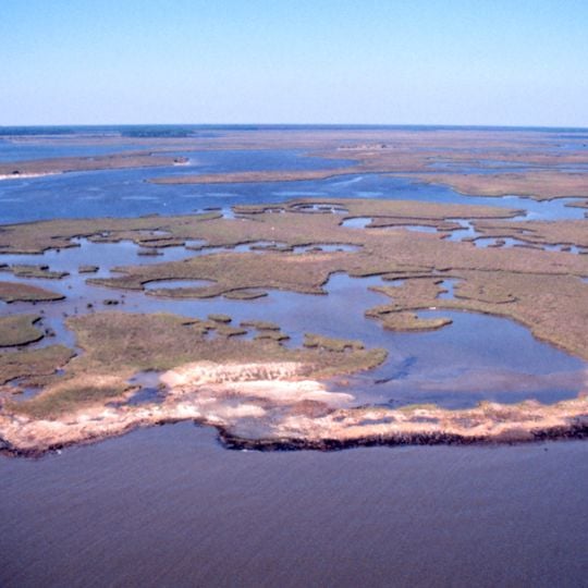 Grand Bay National Estuarine Research Reserve