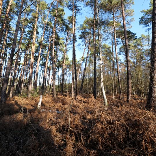 Espenluch und Stülper See