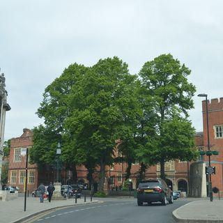 The New Schools, Eton College