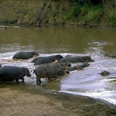 Badiar National Park