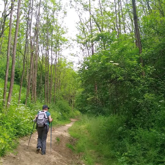 Riserva naturale speciale della Valle Andona, Valle Botto e Val Grande