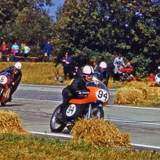 Autobahnspinne Dresden