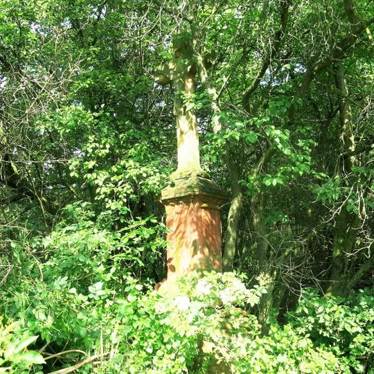 Kamenný kříž v remízu na severním okraji Vitčic