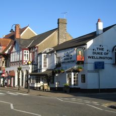 The Duke Of Wellington