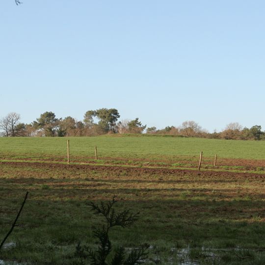 Romano-Celtic temple