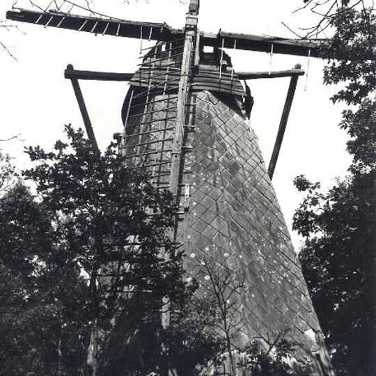 Schaliënmolen