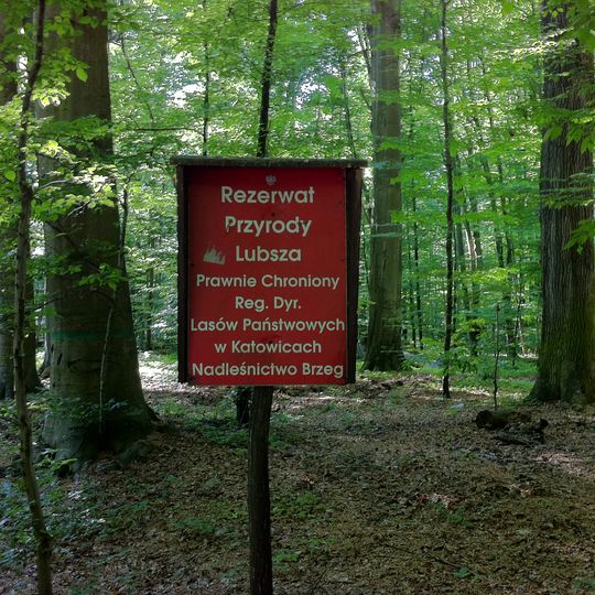 Rezerwat przyrody Lubsza
