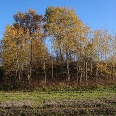 Курган (Кислино)