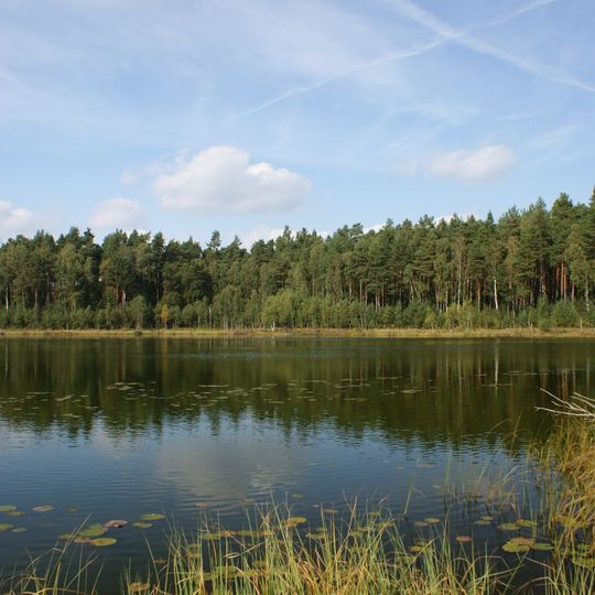 Rezerwat przyrody Jezioro Martwe