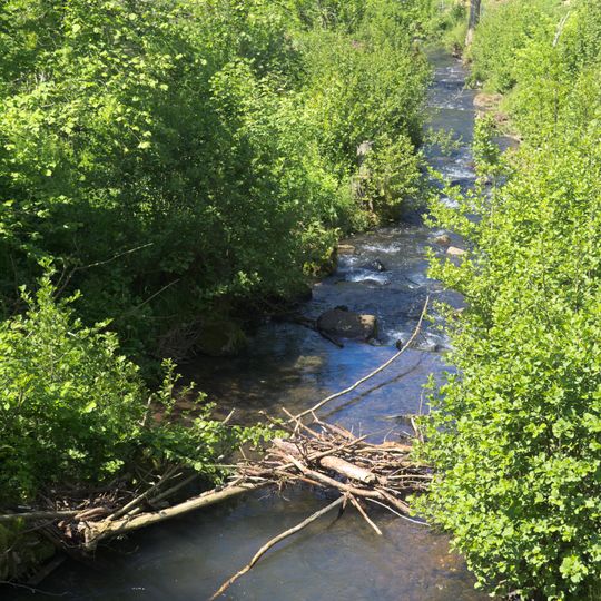Wingershäuser Schweiz