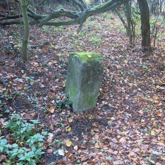 Milník u cesty na vrch Špičák u České Lípy