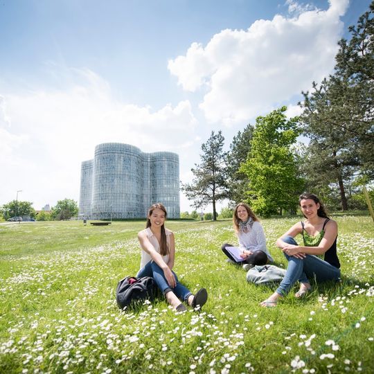 Brandenburg University of Technology