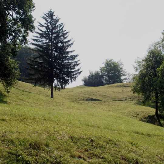 Turmhügel und Burgstelle Bischofegg