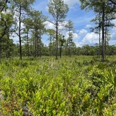 Price's Scrub State Park