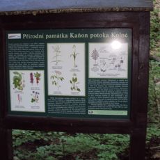 Kaňon potoka Kolné (natural monument)