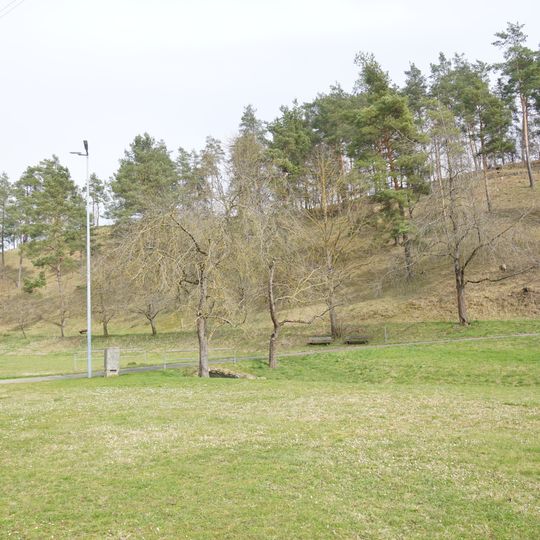 Halbtrockenrasen Südlicher Hornberg