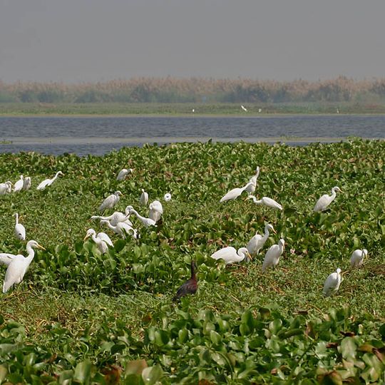 Atapaka Bird Sanctuary