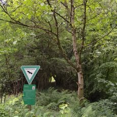 Silberbachtal bei Schloßborn