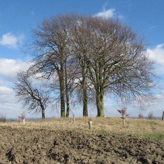 Brightwell Barrow