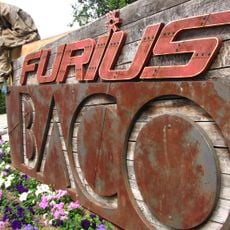 Furius Baco