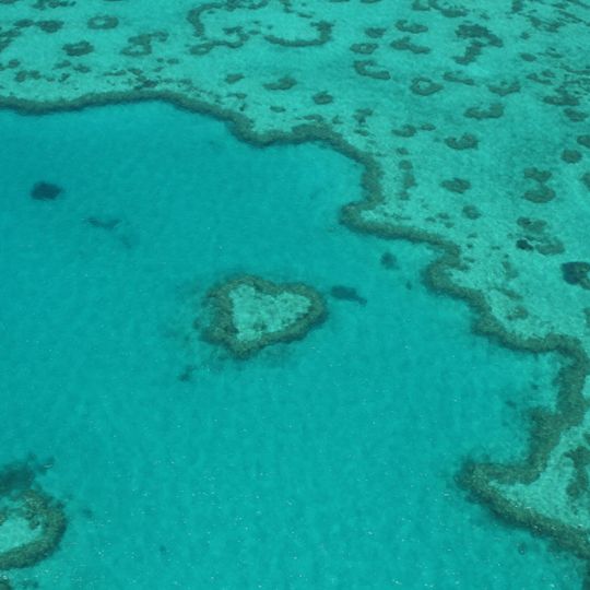 Heart Reef
