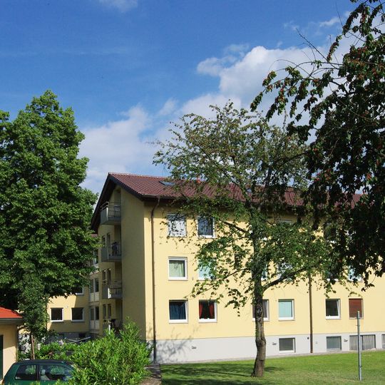 Collegium Sapientiae