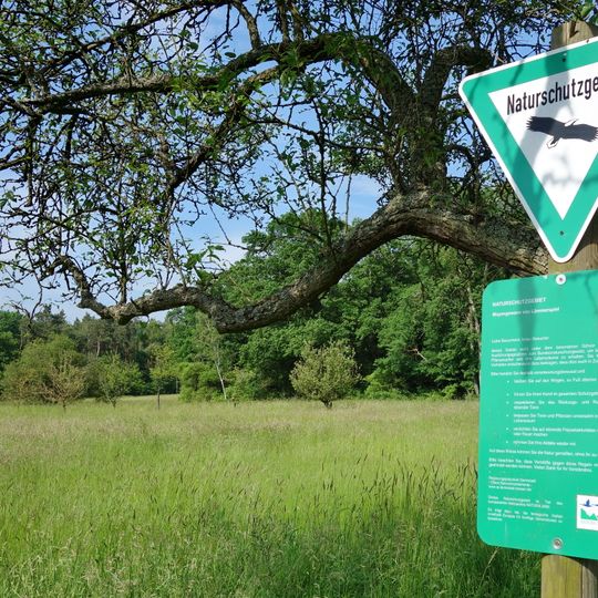 Mayengewann von Lämmerspiel