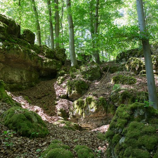Cultural heritage D-3-6435-0110 in Neukirchen bei Sulzbach-Rosenberg