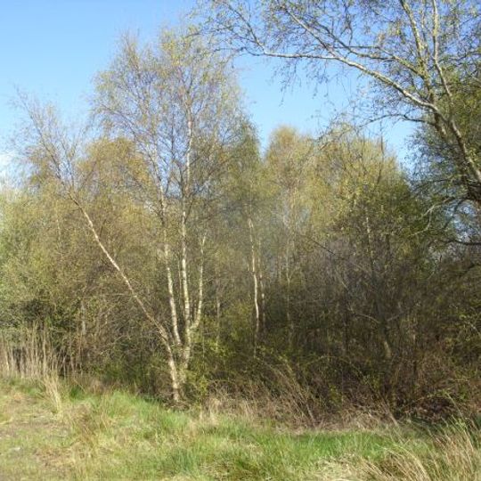 Herrschaftliches Moor