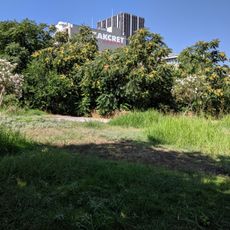 Park