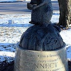 Connect