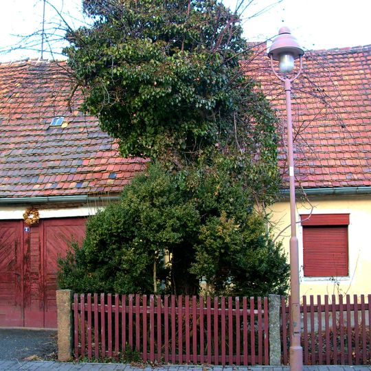Wohnhaus in geschlossener Bebauung Am Haag 3