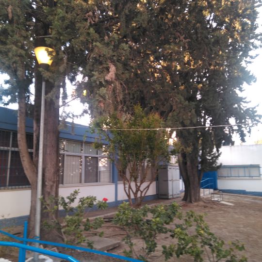 Colegio de educación infantil y primaria Alfonso X