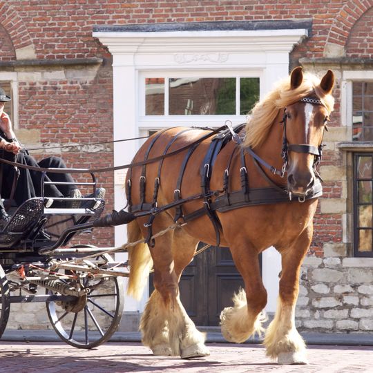 Wagenaarstraat 30, Middelburg