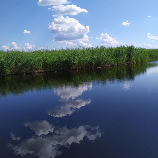 Deymanivs'kyy Zakaznyk