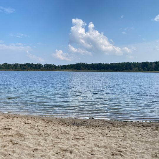 Waldstrand Ranziger See