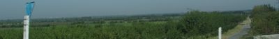 Panoramic View 1