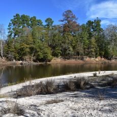 Village Creek State Park