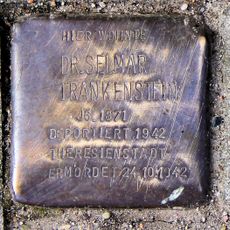 Stolperstein en memoria de Dr. Selmar Frankenstein