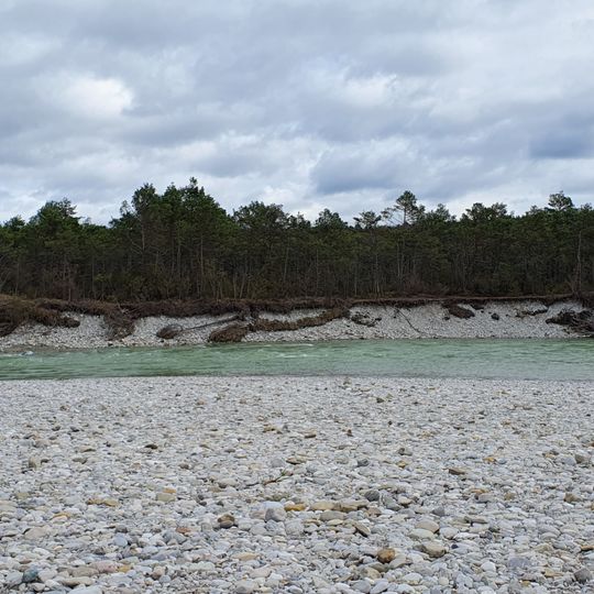 Isar-Prallhang bei Wolfratshausen
