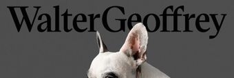 Walter Geoffrey The Frenchie Profile Cover