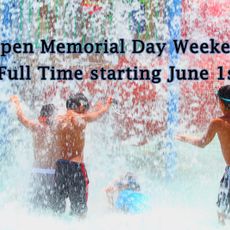 Lion's Junction Family Water Park