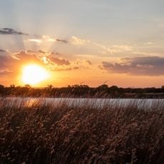 Foss State Park