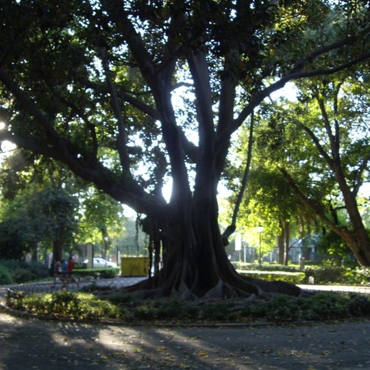 Glorieta Gabriela Ortega Gómez