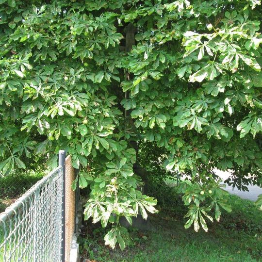 Kříž u Horního Plezomu