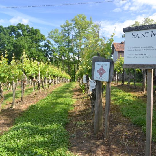 Vigne de Sarragachies