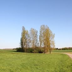 Feuchtgebiet Seewiesen